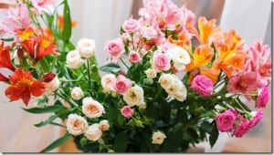 Какие цветы подарить любимой &mdash; от роз до экзотических вариантов